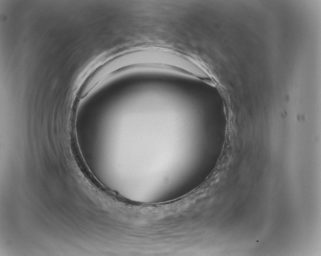 X0000081580007200701291252