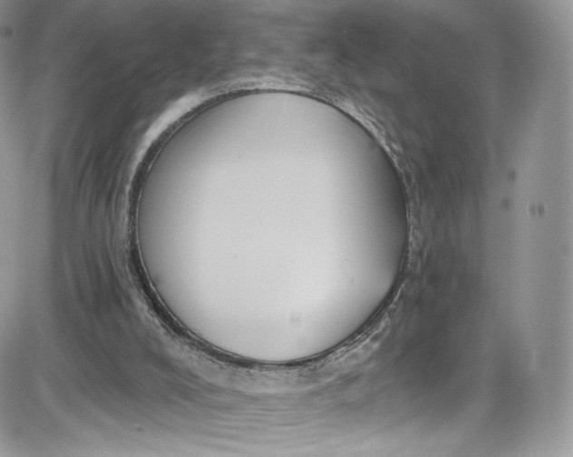 X0000081580008200701291252