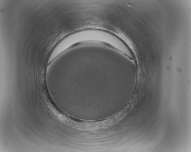 X0000081580009200701291252