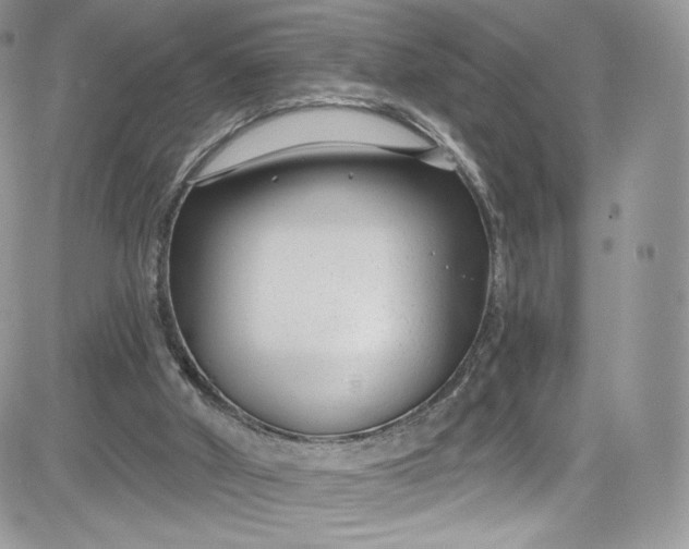 X0000081580010200701291252