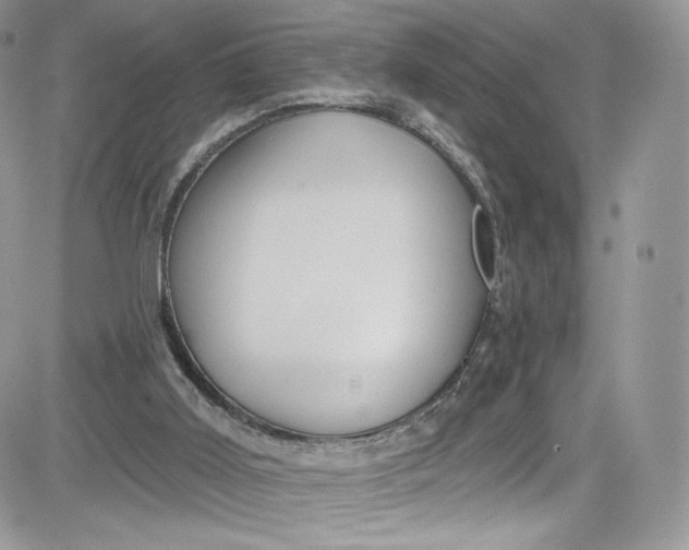 X0000081580011200701291252