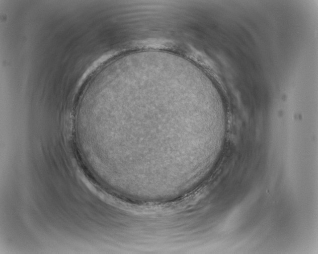 X0000081580012200701291252