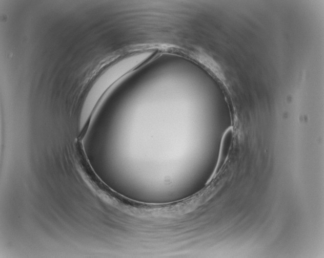 X0000081580013200701291252