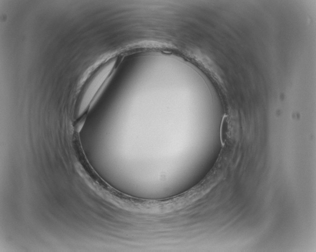 X0000081580015200701291251