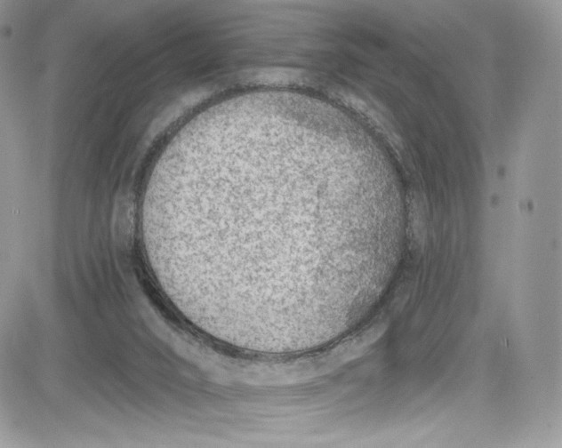 X0000081580016200701291251