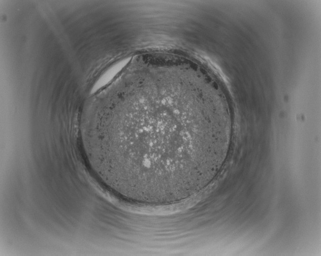 X0000081580017200701291251