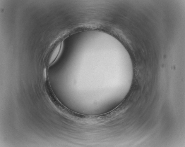 X0000081580020200701291251