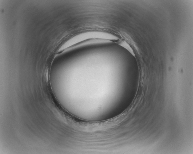 X0000081580021200701291251