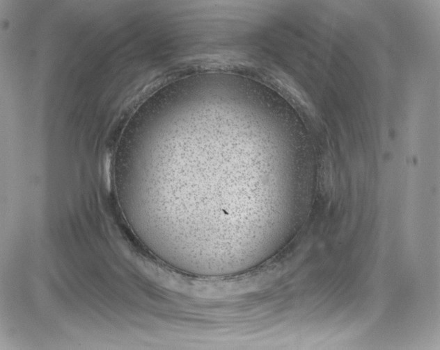 X0000081580022200701291251