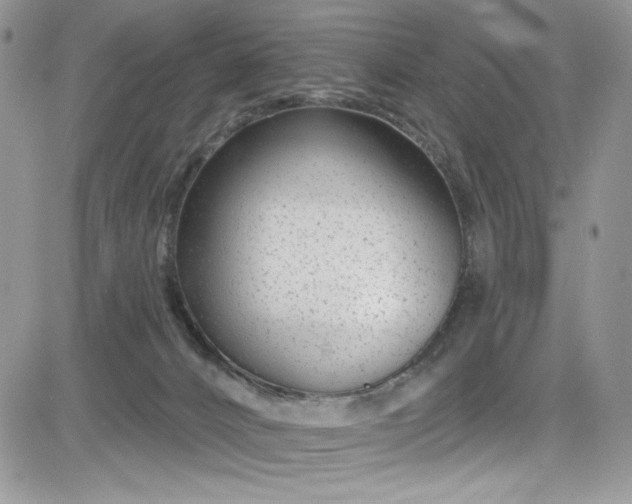 X0000081580032200701291251