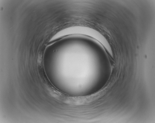 X0000081580033200701291251