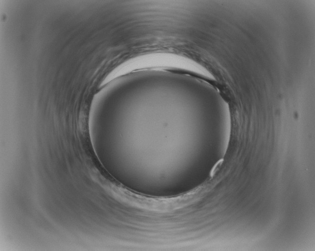 X0000081580035200701291251