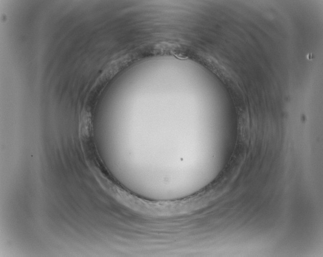 X0000081580038200701291251