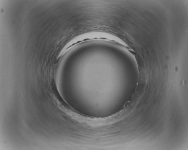 X0000081580039200701291251