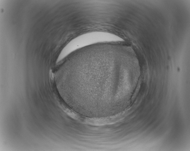 X0000081580041200701291251