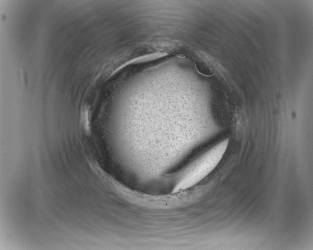 X0000081580042200701291251