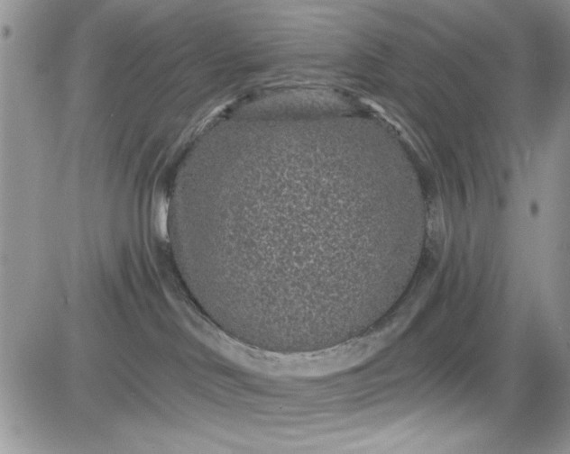 X0000081580046200701291251