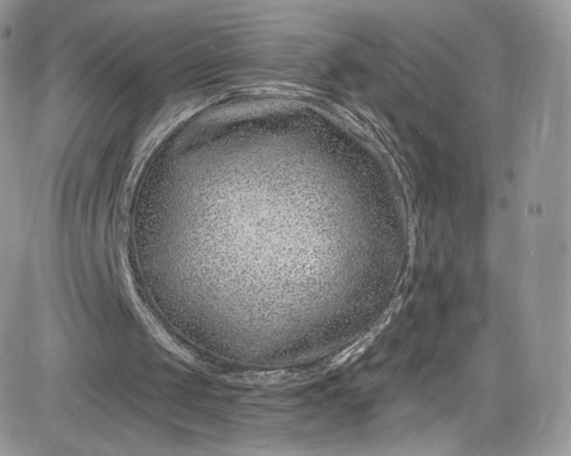 X0000081580049200701291250