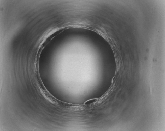 X0000081580050200701291250