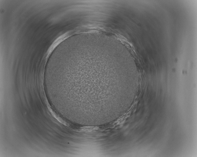 X0000081580051200701291250