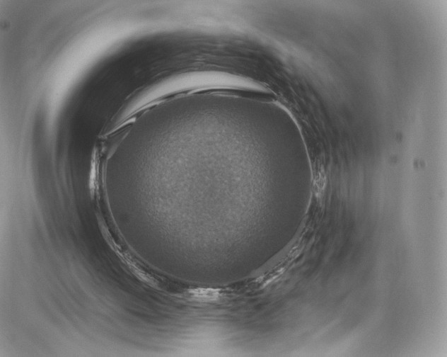 X0000081580052200701291250