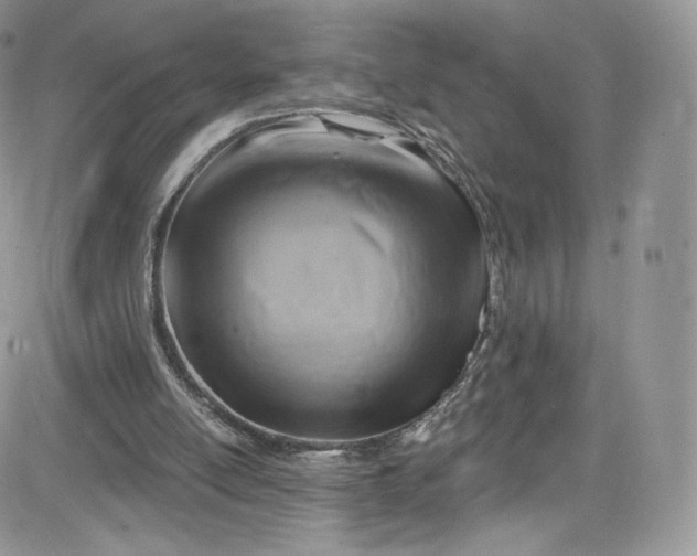 X0000081580054200701291250