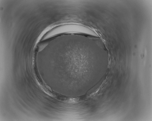 X0000081580056200701291250