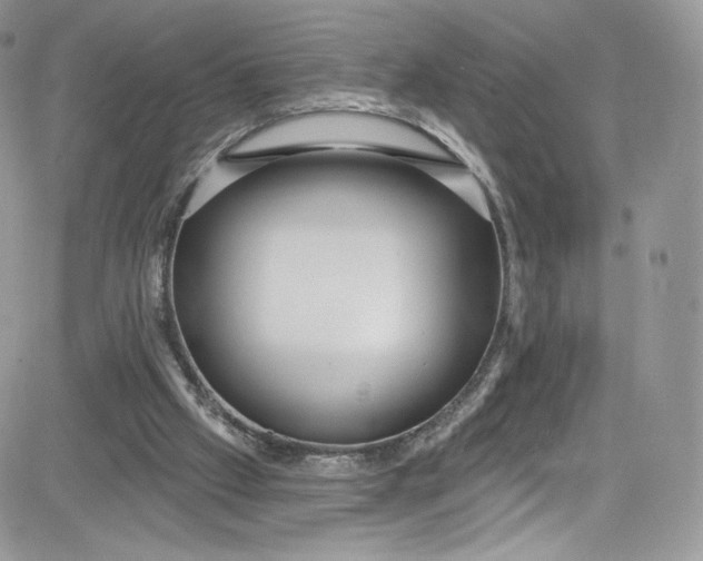 X0000081580057200701291250