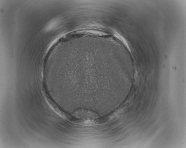 X0000081580059200701291250