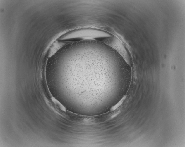 X0000081580060200701291250