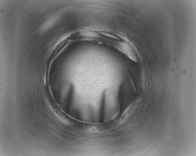 X0000081580062200701291250