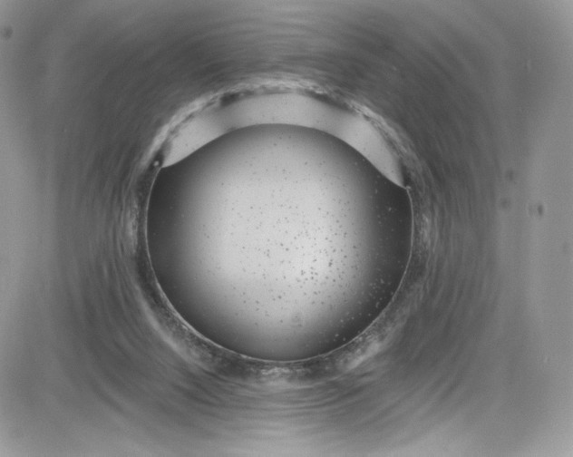 X0000081580064200701291250