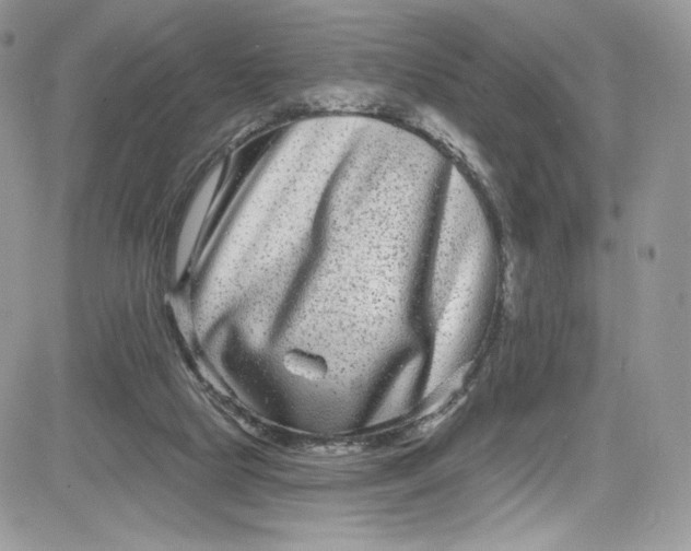 X0000081580065200701291250