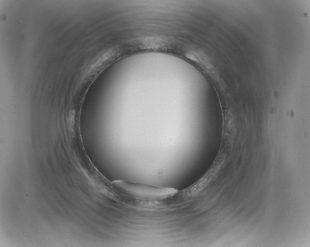 X0000081580066200701291250