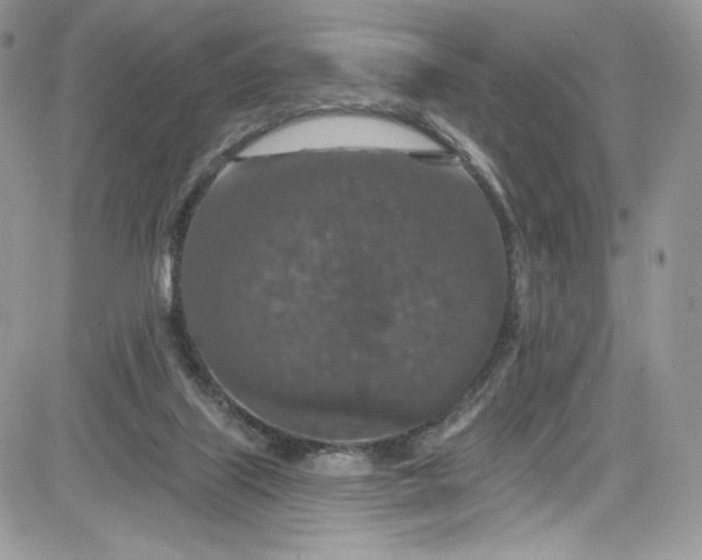 X0000081580067200701291250