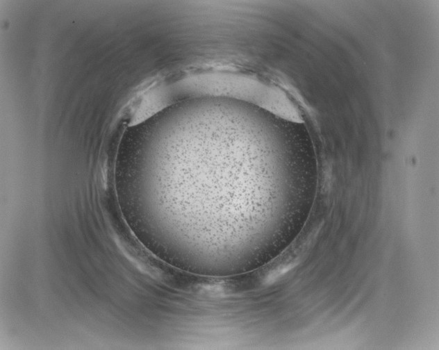 X0000081580068200701291250