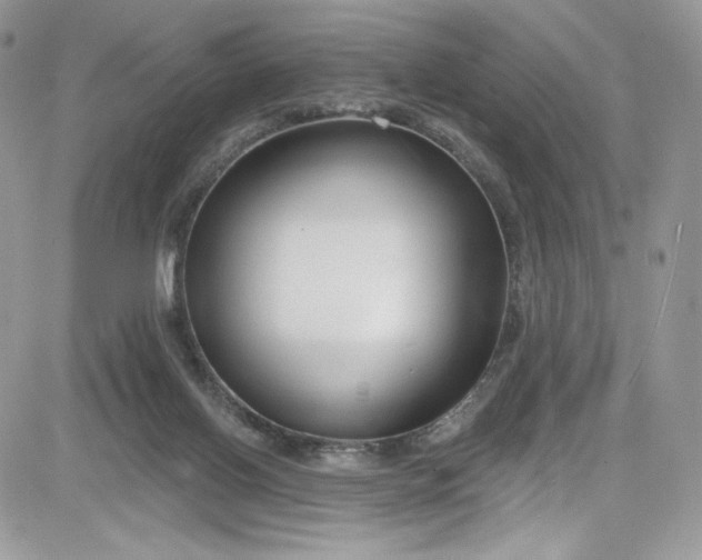 X0000081580070200701291251