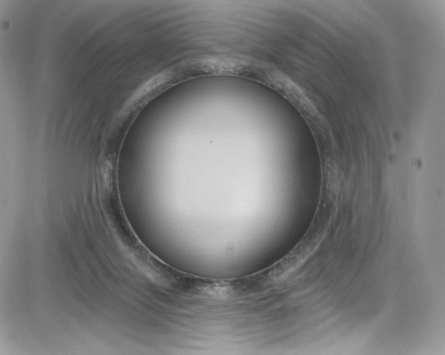 X0000081580071200701291251