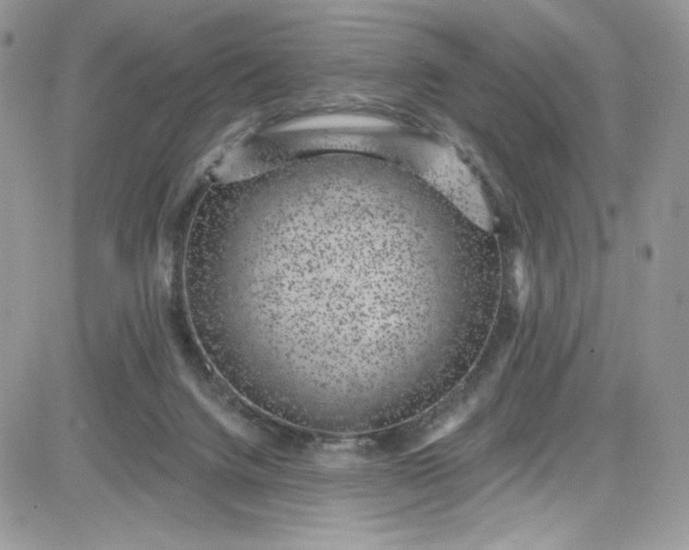 X0000081580072200701291251