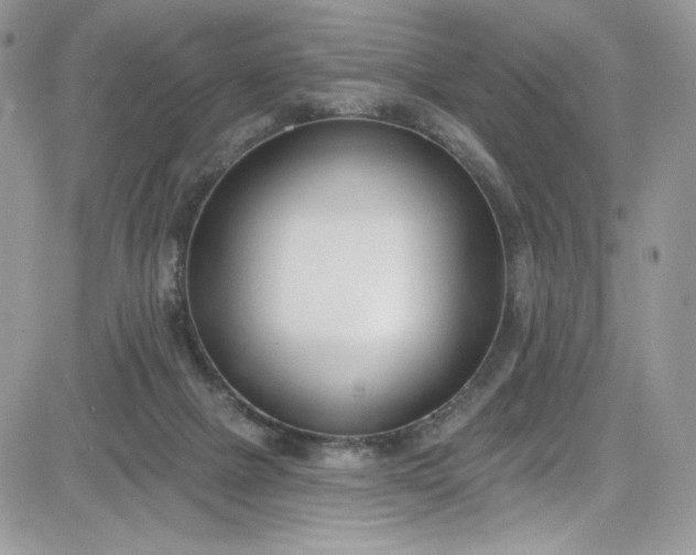 X0000081580073200701291251