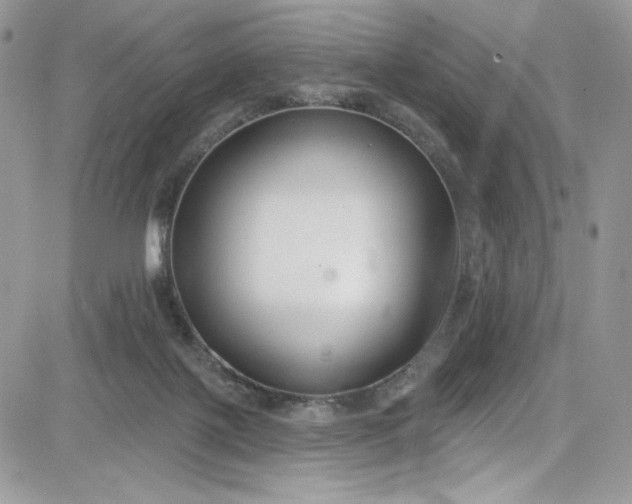 X0000081580075200701291251