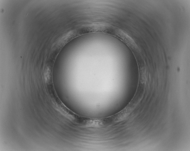 X0000081580077200701291251