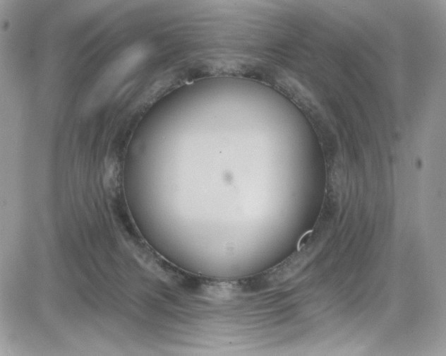 X0000081580079200701291251