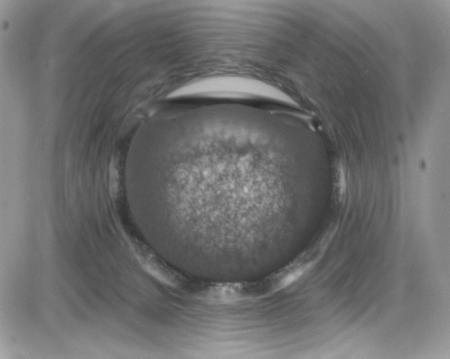 X0000081580080200701291251