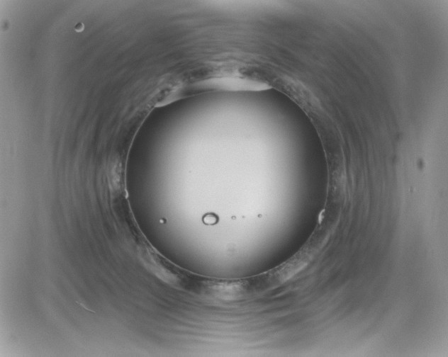 X0000081580081200701291251