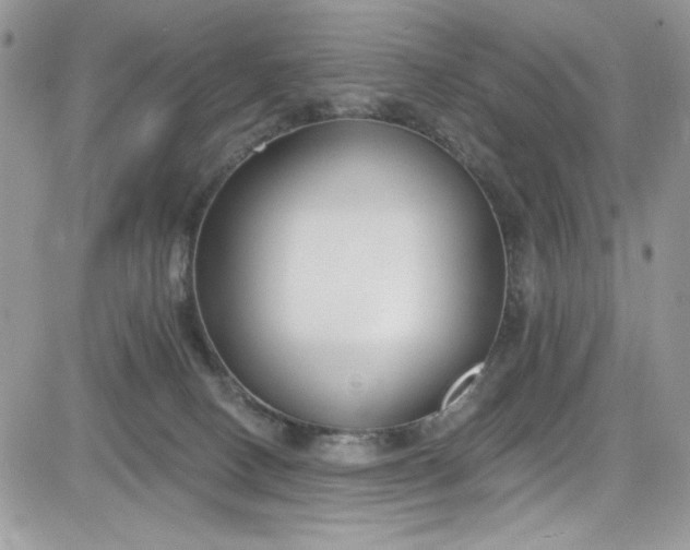 X0000081580082200701291251