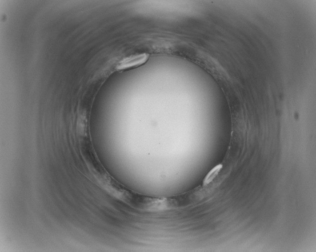 X0000081580083200701291251