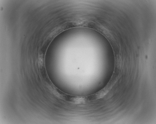 X0000081580085200701291251