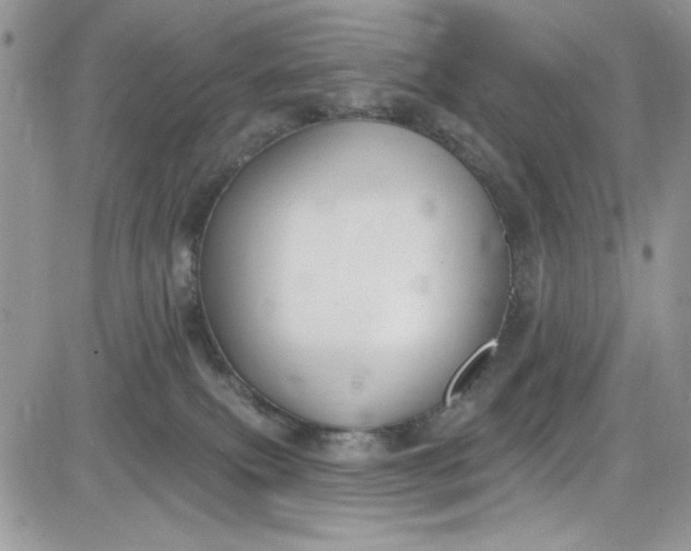 X0000081580087200701291251