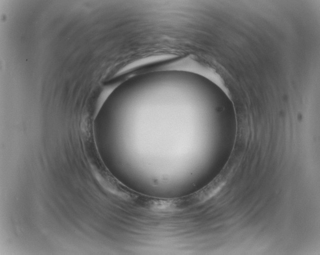 X0000081580088200701291251